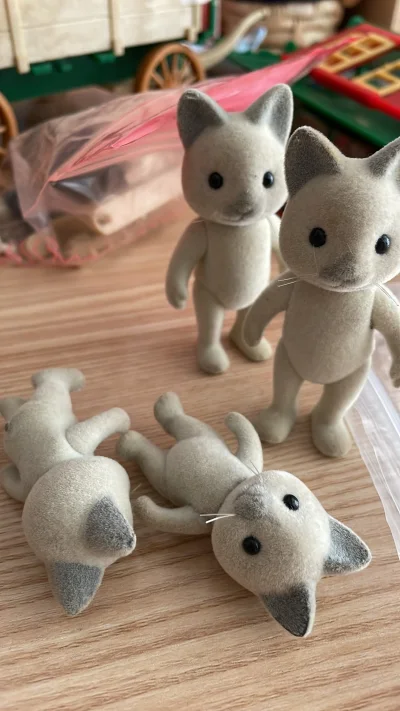 这箱里也都是森家产品，有没有尾巴的纸牌猫家族，还有森家的磁吸玩具书，还有森家的如何做手工的书，卖家都保存的挺好，快递也安全到达，真不错。