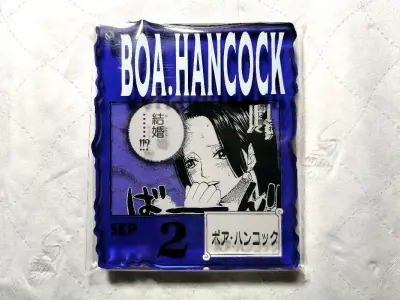 赶上时间切到了好些梦情，海贼王的396生日亚克力砖真的太貌美了，收到女帝的砖实物是真的特别惊艳，有这样貌美的砖进入我兜里很幸福