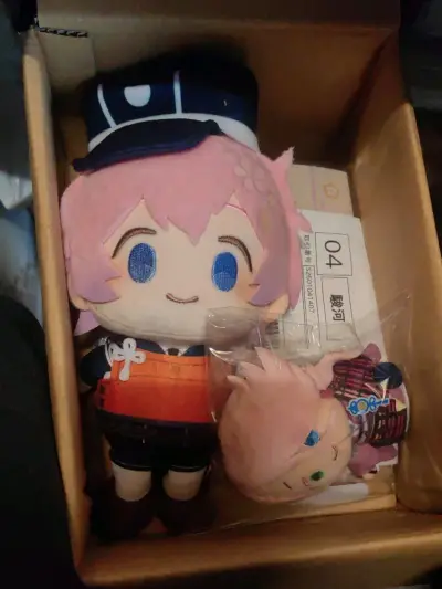 第不知道多少次的合箱到手啦