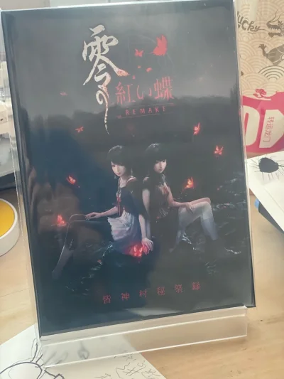 这单用的日本邮政EPL，大概两周左右的时间就到了。在煤炉和雅虎日拍上买的零红蝶重制版资料集和仁王3海报，fans值得收藏起来