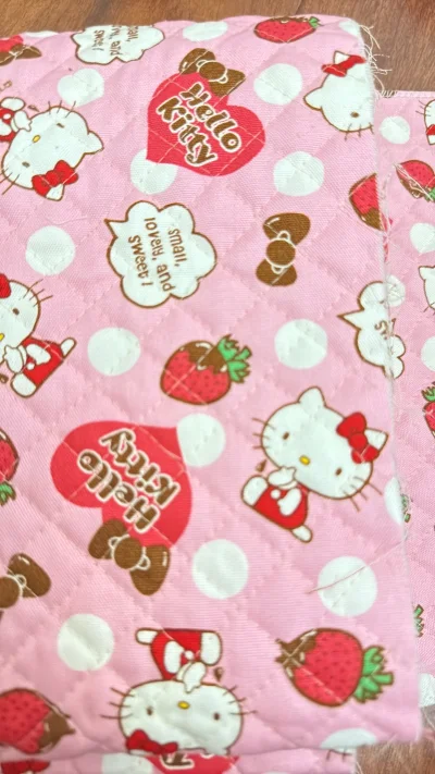 到了很老的kitty布料，也到了很大块的美少女布料，太喜欢了，还是大块布料好呀，可做空间更大呀，太开心了