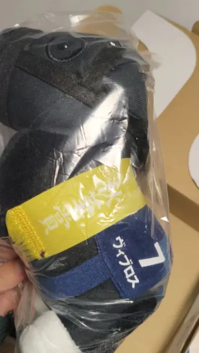 我的妈呀，这次也是直接在这个挖煤姬上淘到了一只小马好吧萌的我想死呀。这个物流也是非常快好吧，EMS也是直接一个星期就到了。