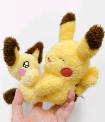 挖煤姬这次的宝可梦中古周边合集里面有个set非常好价，并且在东西比较多的情况下，工作人员打包依然结实，东西完好无损地到了，感谢挖煤姬！