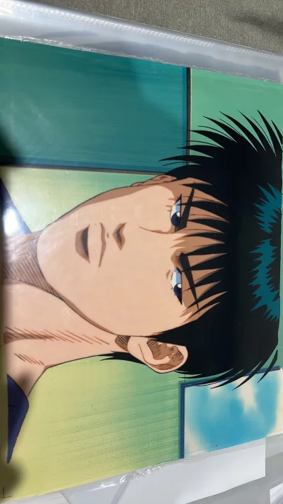 成功入手《灌篮高手》流川枫原画赛璐璐，真的太帅了！画面细节精致，保存状态很好，没有任何损伤。一直很喜欢这个角色，这次算是圆梦了，整体体验非常满意！