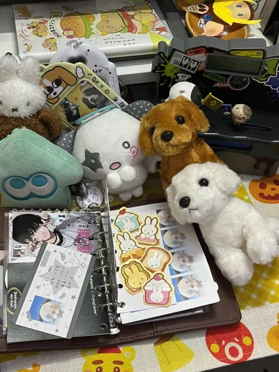 初次切煤吃到好价啦