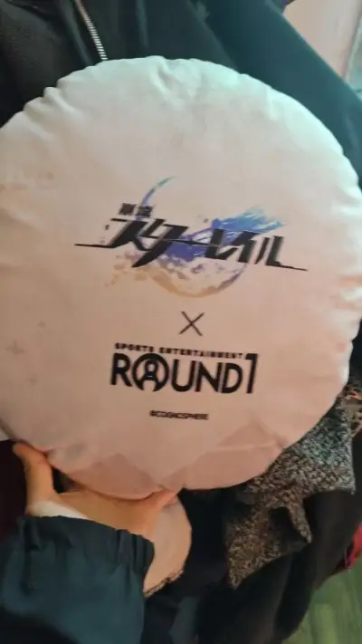 任意门上抢到了《崩坏：星穹铁道》的Round1圆形抱枕