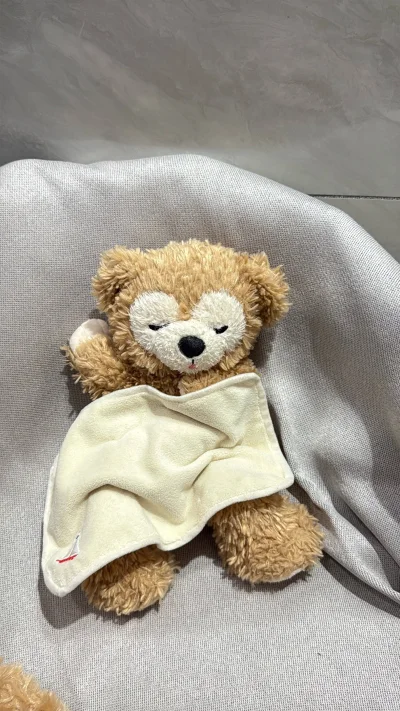 这次在挖煤姬淘到的达菲、雪莉玫毛绒挂件真的太惊喜了！实物毛绒蓬松柔软，做工细节拉满，颜值完全在线，和图片一模一样没有翻车。平台转运时效超给力，空运很快就收到了，包裹保护得很好，没有压塌变形。整个购物体验超顺畅，性价比拉满，迪士尼爱好者闭眼冲就对了！