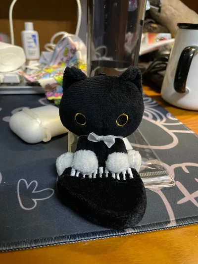 这次在挖煤姬购买了一部分最喜欢的中古书签和小猫玩偶，还有小摆件，真的很喜欢!还有萌萌的包装!宝贝到手真的太惊喜了!不仅商品质量非常好，完全符合描述，而且物 流速度也比较快，下单后没多久就收到了， 包装也很仔细，保护的很好，完全没有损坏。最让我感动的是他们的捆包服务，...这次在挖煤姬购买了一部分最喜欢的中古书签和小猫玩偶，还有小摆件，真的很喜欢!还有萌萌的包装!宝贝到手真的太惊喜了!不仅商品质量非常好，完全符合描述，而且物 流速度也比较快，下单后没多久就收到了， 包装也很仔细，保护的很好，完全没有损坏。最