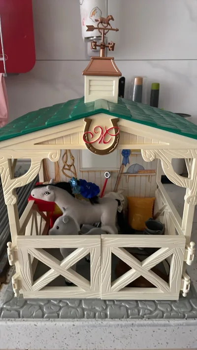 这次到货的都是和森家没关系的玩具和漫画。玛德琳的马厩，还有漫画《水果篮子》的前4本，本来打算买全套的，没想到看漏了，以为只有4本，以后还要再补全剩余6本。