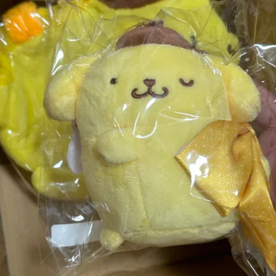 这款布丁玩偶，春日限定配色，毛绒柔软，别上小背包就能一起踏春拍照。挖煤姬日淘正品保证，下单流畅，包装细心物流快，超满意！