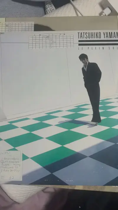 刷到了山本达彦的黑胶見本盤套装，果断拿下，走了便宜的竹蜻蜓线路，运费单张只要20元，真的相较于国内买无论是种类还是价格都更便携。