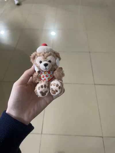 很萌很萌的小宝们！之前一直用的都是拼团拼邮回来 这几次开始自己尝试用直邮发现真的好快好快好快！合单完成后一个星期就到手了！全程一起半个月左右！自己慢慢买一个月运一单回来特别方边！好价达菲宝宝请多多降临妈妈的手心??