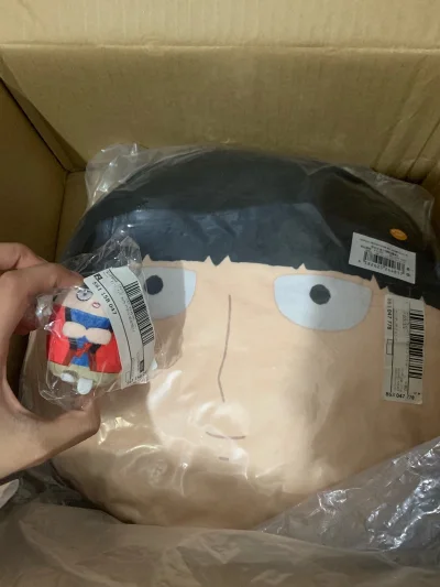 速度非常快 几天就到了 并且现在有优惠 寄回国运费不超40 很方便合箱很快  包装也很结实 很牢固 会一直使用这个软件的