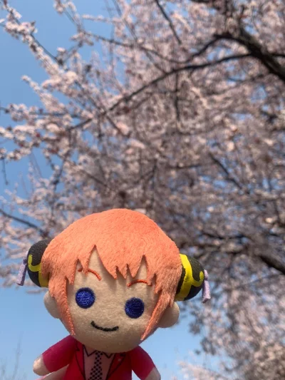 给了很多优惠券 算下来很划算 运费也有折扣 买的衣服有点重 发出很快 没多久就到了 并且包装也很结实 这边一直下雨 内部也没打湿