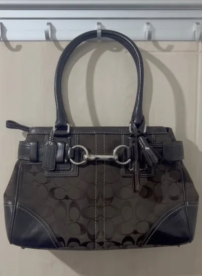 从雅虎拍卖里拍的一只蔻驰巧克力老花公文包，成色很好，物流快速跟方便，整个购物过程省心省力，客服响应即时，态度也很好，就是等的有些慢。但总体瑕不掩瑜，点赞?