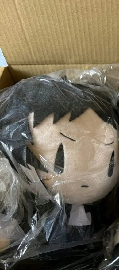 超级喜欢芥川，之前一直觉得闲鱼的这个大娃娃太贵了没忍心下手，现在终于半价吃到了好幸福。而且竹蜻蜓寄送也很便宜！