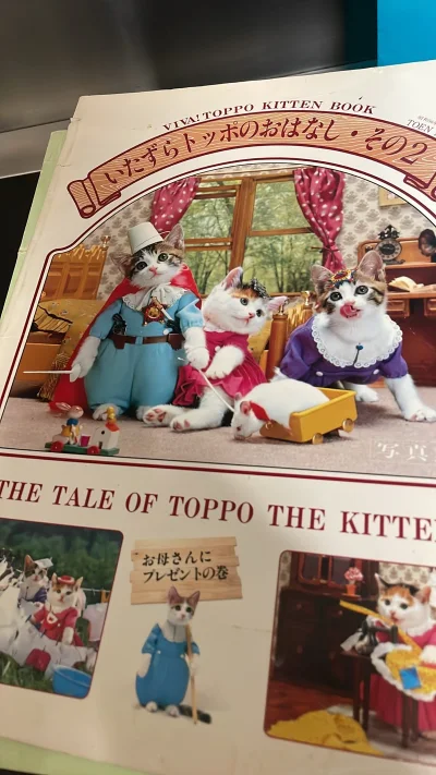 这一单被海关扣下要补充申报，于是为了省30块代办手续费，于是我自己去了线下提货，时效更高。从出发到取到货，一共费时2小时。本次书比较多，森家玩具只有一套猫头鹰家族三人组，所以比较轻松的就拿回家了。