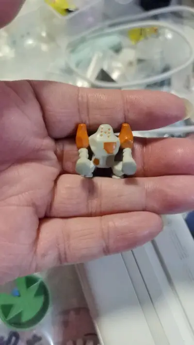 愉快的日拍之旅