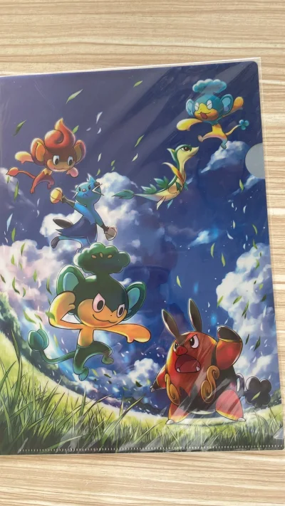 宝可梦 A4文件夹口袋妖怪黑白 御三家 合众地区  暖暖猪 水水獭 藤藤蛇 花椰猴 爆香猴 冷水猴 pc中心 日版 全新未拆，感谢挖煤姬多次代购