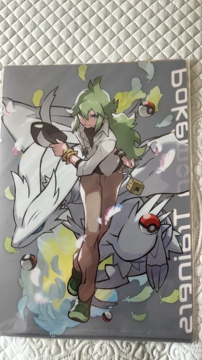 宝可梦中心（Pokémon Center） Pokémon Trainers（宝可梦训练家）」主题系列，主角是《宝可梦 黑/白》的核心角色N（纳秋然·哈尔孟尼亚·格罗皮乌斯），搭档为传说宝可梦莱希拉姆 感谢挖煤姬代购



