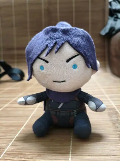 这次用的是竹蜻蜓专线，挺便宜的，而且发货也挺快的，这几个小东西在国内卖可贵了，在挖煤姬上购买，并且加上国际运费便宜了很多