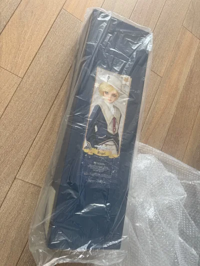 之前都用挖煤姬买谷子
发现找bjd也很便捷 正好刷到了好价的娃娃
可惜不给用竹蜻蜓 只能ems寄回
邮费多花了不少 但总算是平安到家