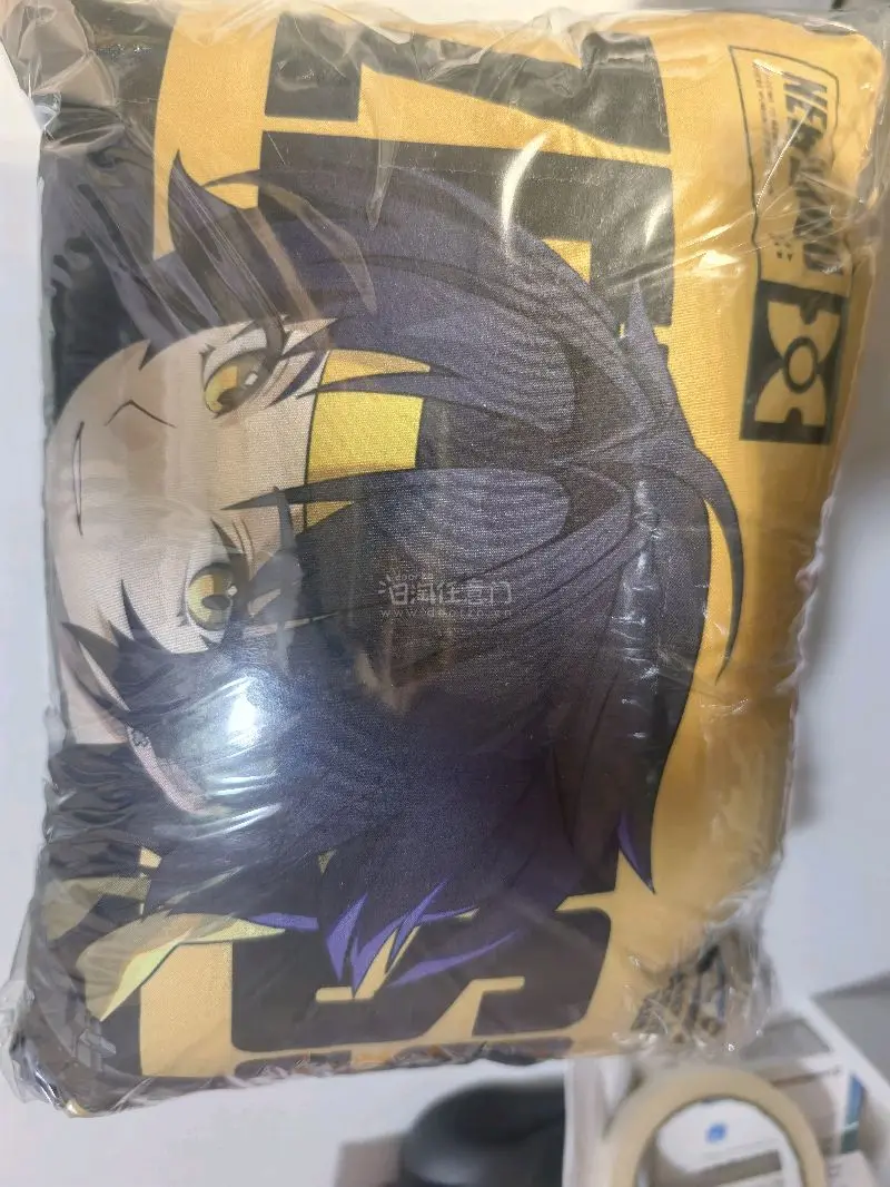 很好的挖煤姬帮我代切了gigo联动的抱枕，差不多半个月就到我这里了，速度很快。走的是竹蜻蜓专线，过了额度，但直接代缴税很方便，非常好