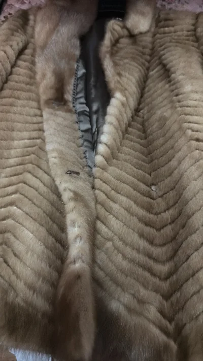 挖煤姬入了件中古貂皮外套，实物惊艳！毛质厚实油亮，版型挺括。日本卖家标注的‘微瑕’几乎找不到，走海运包装也无损。，太值了！”。已推荐给想尝试古着的闺蜜，宝藏平台。”


