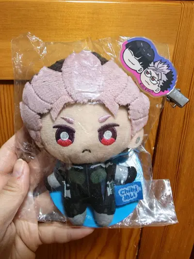 俺终于切到鸣海这个豆豆眼努努了！！
在不断刷到后一点点被种草了哈哈
很可爱哇越看越萌嘿嘿
还切了plaza这个发夹，双推人必入w
以及去年agf新年的苏师傅立牌，这个闪闪的彩窗很好看！