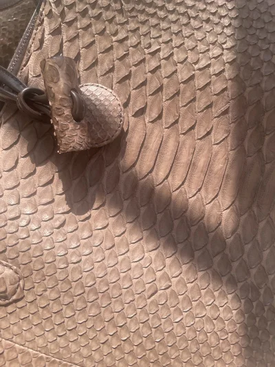 海淘太满意了！蛇皮包纹理独特亮眼，蜥蜴皮包高级又耐用，纹理也非常好看！爱马仕鞋子经典舒适。包装严实无瑕疵，物流比预期快，三件都是心头爱，必须五星推荐！
