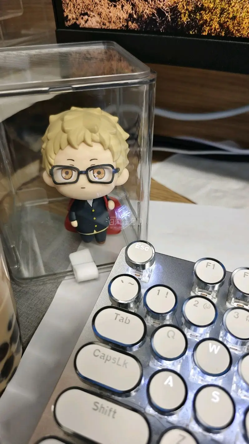 超级萌物，一级可爱