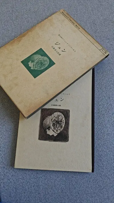 一次完美的购物体验 泉此方可爱捏 石森章太郎的纯 真的是前卫的艺术啊 日本EMS发货真快 没啥说的牛福牛服就完了