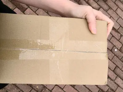 又双叒一次安全到家啦