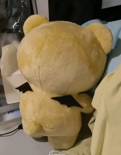 小熊玩偶做工超精致，毛绒软糯细腻摸起来很舒服，没有异味不掉毛。造型可爱颜值很高，大小刚刚好抱着很治愈，细节做工都很棒，手感柔软蓬松，性价比超高，孩子很喜欢，推荐入手！







