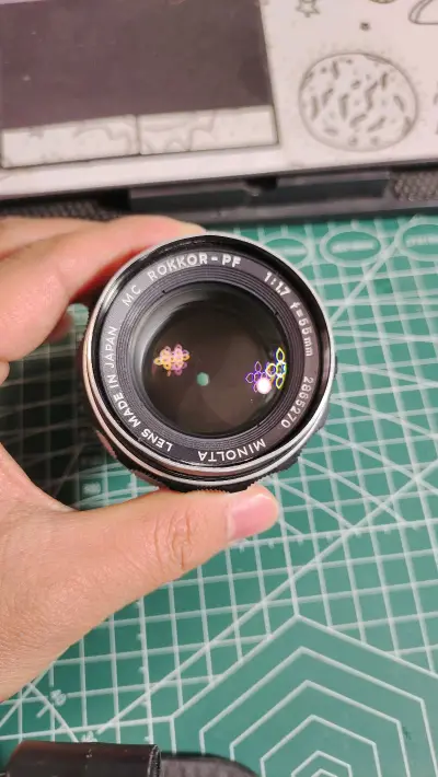 任意门海淘购物体验