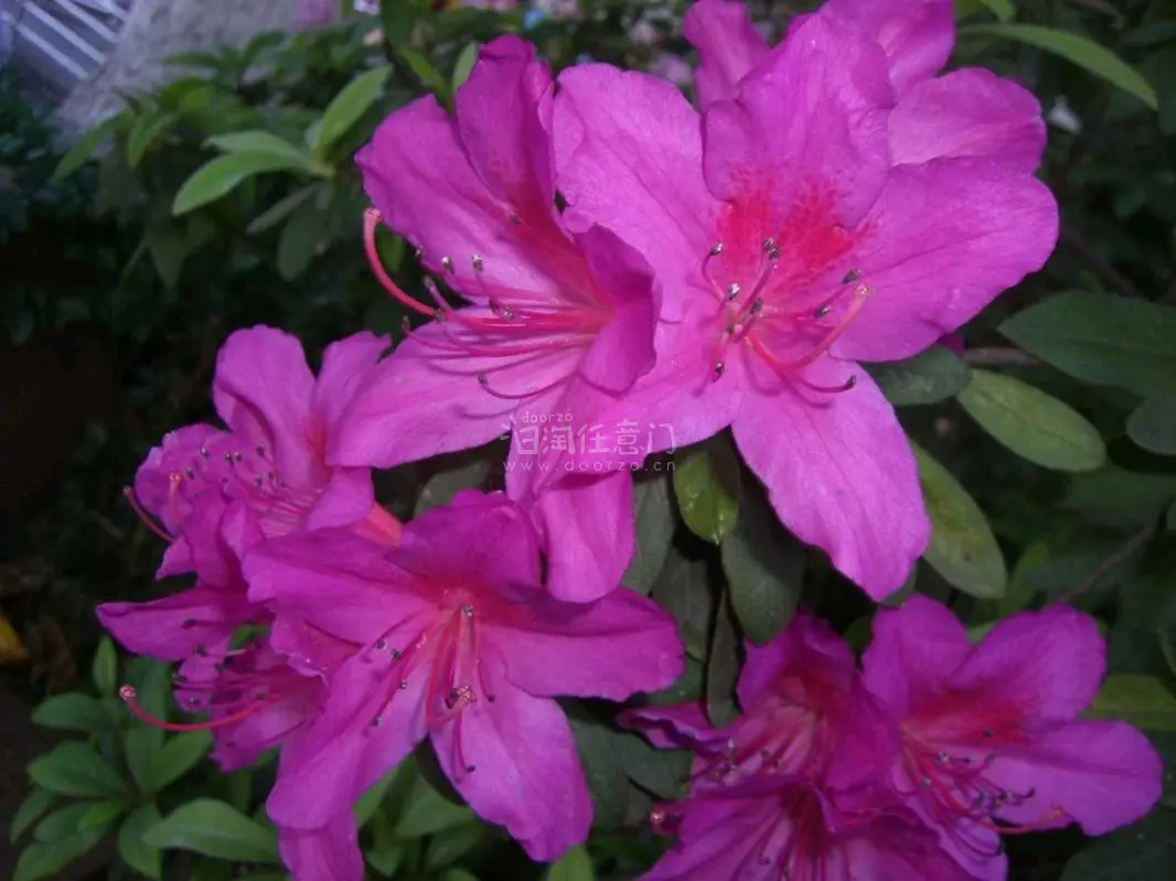 第一次淘ccd，看到成色不错激情下单，走的ems，但这次真的有点慢了，但还能接受，商家很好，送了内存卡和一个装相机小包，这次使用了议价，卖家很爽快，用挖煤姬操作也很方便！
