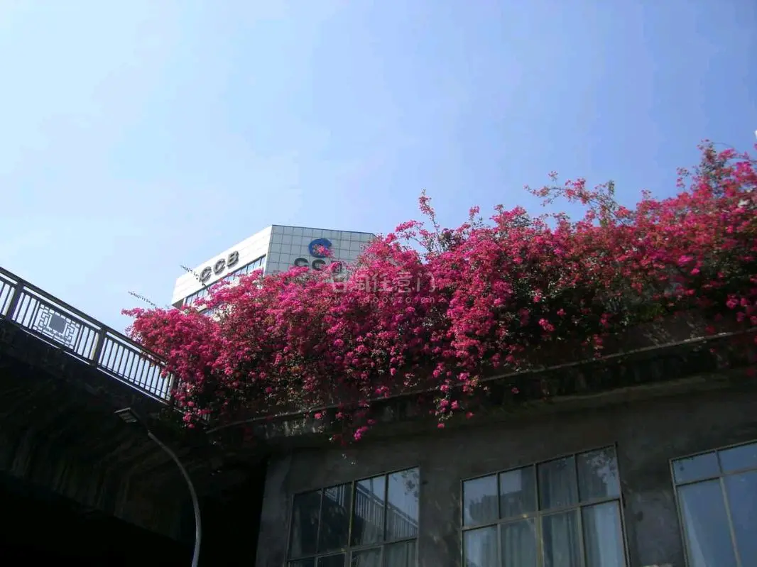 第一次淘ccd，看到成色不错激情下单，走的ems，但这次真的有点慢了，但还能接受，商家很好，送了内存卡和一个装相机小包，这次使用了议价，卖家很爽快，用挖煤姬操作也很方便！
