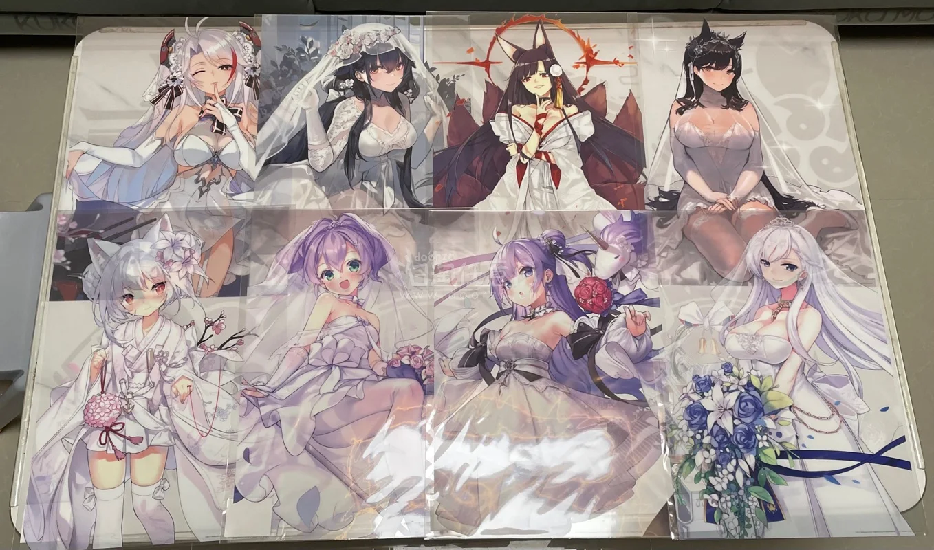 第一眼就看中这批海报，全是碧蓝航线里面各位指挥官的老婆，透明塑料材质更有质感，不怕受潮。官方打包太给力了，没有曲折，直接大箱子打包，里面全是泡泡纸。