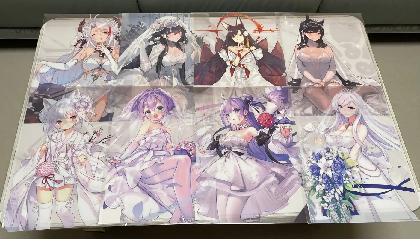 第一眼就看中这批海报，全是碧蓝航线里面各位指挥官的老婆，透明塑料材质更有质感，不怕受潮。官方打包太给力了，没有曲折，直接大箱子打包，里面全是泡泡纸。