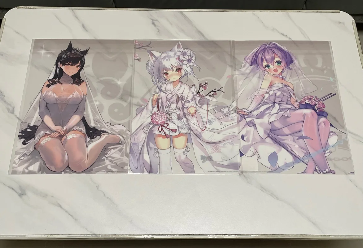 第一眼就看中这批海报，全是碧蓝航线里面各位指挥官的老婆，透明塑料材质更有质感，不怕受潮。官方打包太给力了，没有曲折，直接大箱子打包，里面全是泡泡纸。