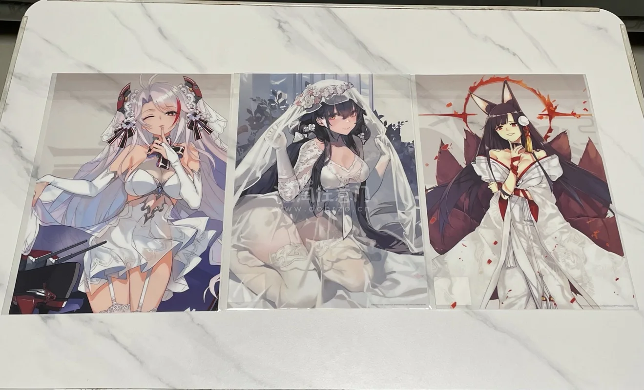 第一眼就看中这批海报，全是碧蓝航线里面各位指挥官的老婆，透明塑料材质更有质感，不怕受潮。官方打包太给力了，没有曲折，直接大箱子打包，里面全是泡泡纸。