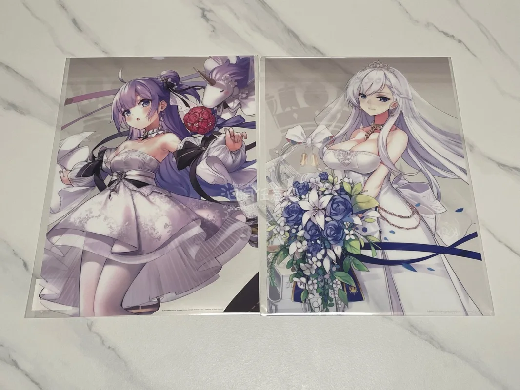 第一眼就看中这批海报，全是碧蓝航线里面各位指挥官的老婆，透明塑料材质更有质感，不怕受潮。官方打包太给力了，没有曲折，直接大箱子打包，里面全是泡泡纸。