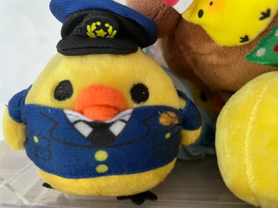 这次包裹基本都是鼻孔鸡和各种娃娃，接近1公斤，但是邮费也只收了40多人民币，真的是非常划算，在挖煤姬上切毛绒制品，不仅税率低，邮费便宜，而且积分还可以抵扣部分运费，真的超级划算。这次切的警察系列和圣诞系列鼻孔鸡真的超级萌特别肥美，好喜欢。