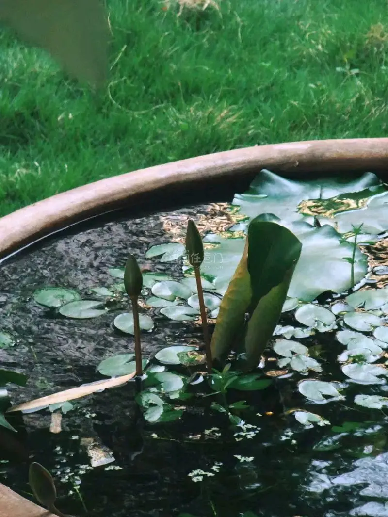 拍立得机子都没什么问题，有一台mini10包装都在还带了说明书，真的几乎是全新的，拍出来的照片也超级好看，谢谢挖煤姬平台，让我能淘到这么好的机器，ccd拍出来也有很复古的感觉我特别喜欢！