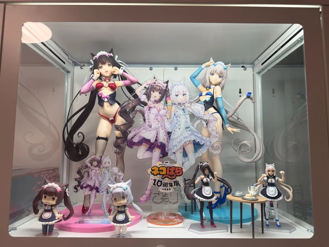 很不错，蹲到猫娘乐园十周年的直签大立牌，全新无拆，买的加固保护很好，运送了三周多终于到了，完好无损，描述一致，很不错的一次体验。