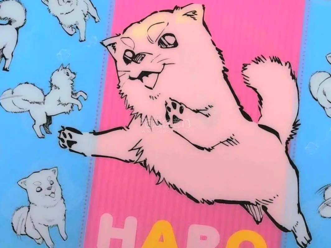 遇到了超级爽快的樱花妹，很快的通过了我的还价，让我好价卖到了两个透子，顺便买了这个超级可爱的哈啰票夹，实在是太可爱了