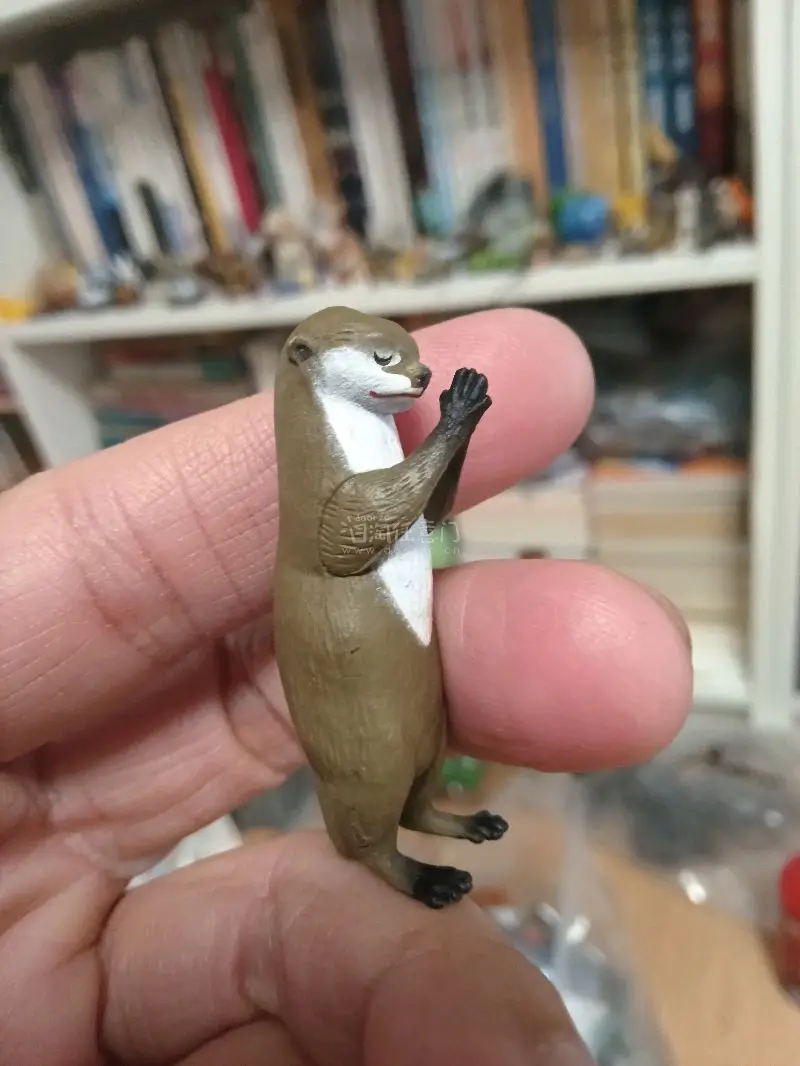 宝贝收到了，质量非常好，与描述一致，真的很喜欢。发货速度快，包装仔细严实，物流态度好，很满意的一次购物，下次还会再来！‌‌‌