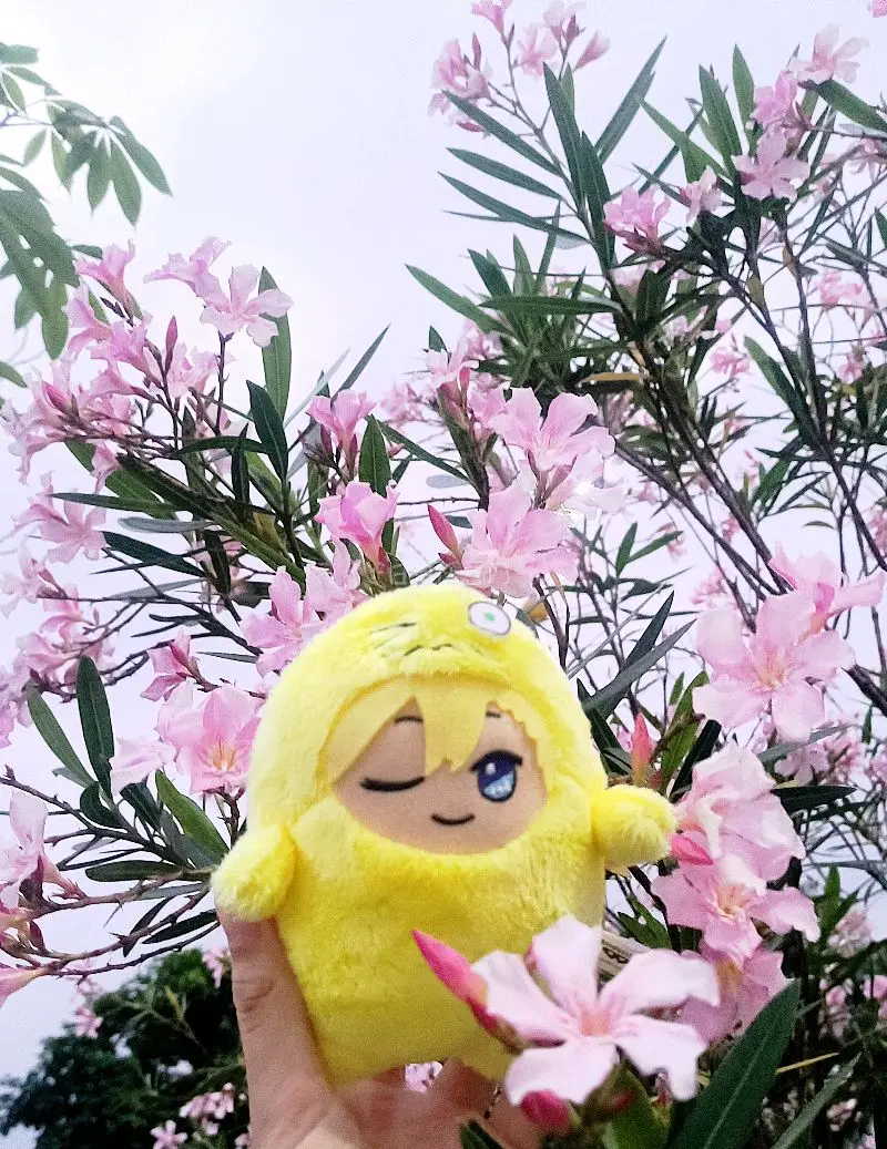 用任意门买谷真是太方便了