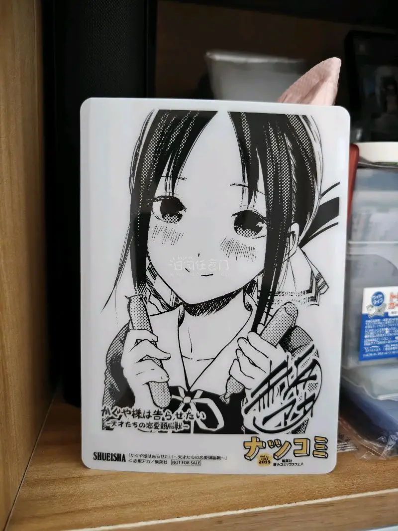 购物体验依旧很好ヾ(❀^ω^)ノﾞ，又买到很多和辉夜相关的周边，还顺手淘到了狗妈CD，不得不说竹蜻蜓时快时慢的，但是依旧一人血书竹蜻蜓p早日归来( ⩌⤚⩌)