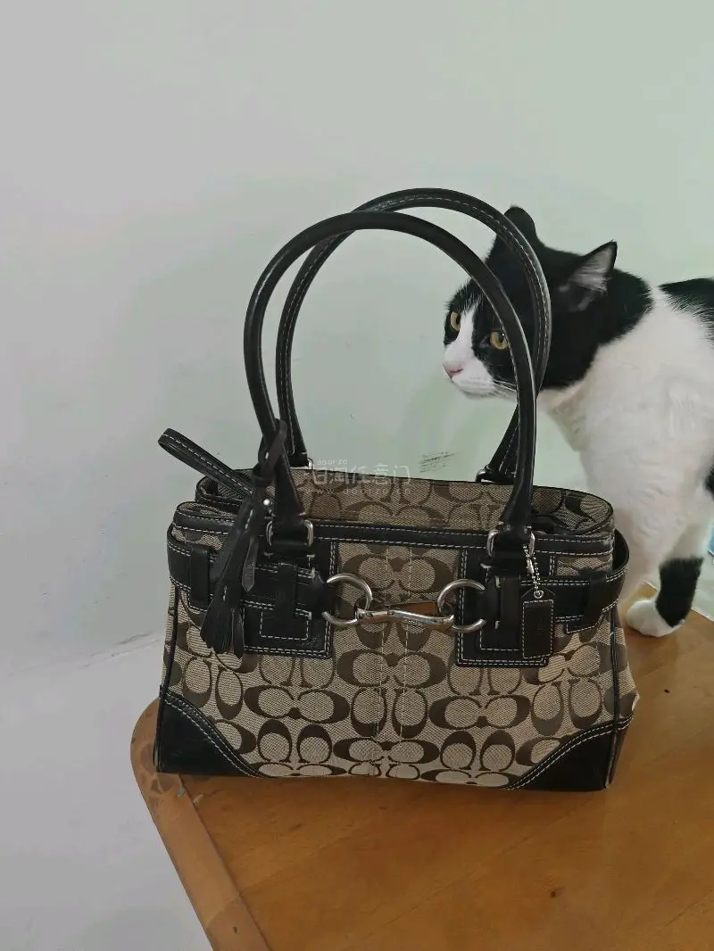 买的生日礼物 挖煤姬淘物终于到了～算是安全下车了，到手体验很不错，东西很新，打包的挺严实的，到手把玩起来很舒服，没啥问题。发货后没几天就到手了，箱子也挺厚实打包的也很好，盒子也没有运损，算是一次不错的购物体验